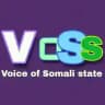Voss Tv