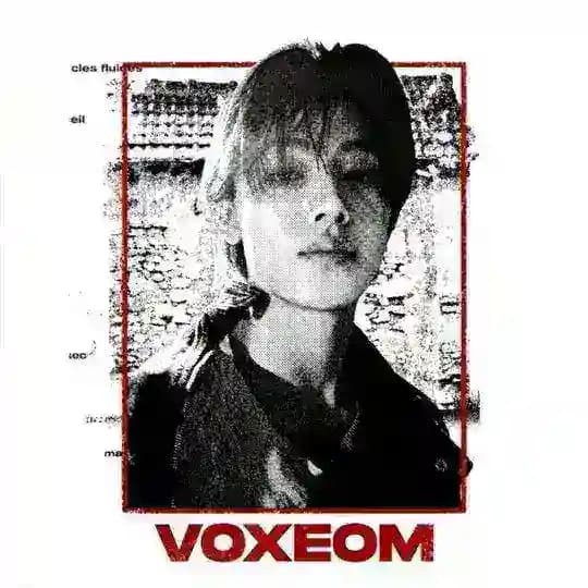 VOXEOM.