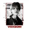 VOXEOM.