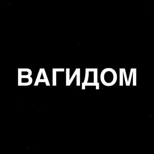 ВАГИДОМ