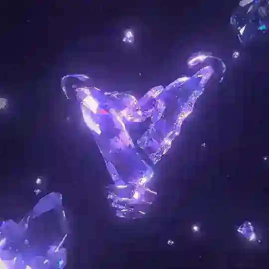 VenusProtection