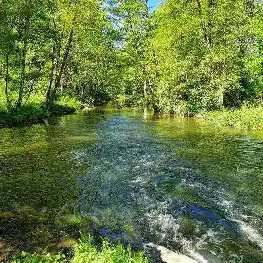 💚 VIA NATURA AKADEMIE - Zentrum & Akademie für Bewusstsein l Ernährung l Gesundheit l Heilung 💚 Profile