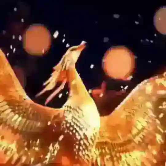 火鸟云控官方频道