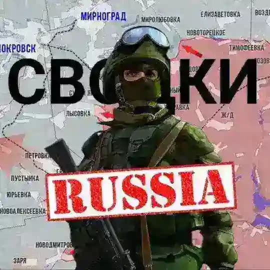 Видео СВОДКИ