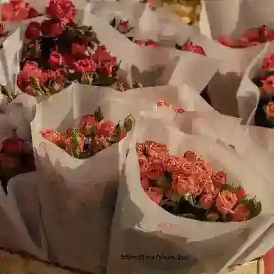 وَنَسّ//رِقَّة فَرَاشَة 🦋🫀. "