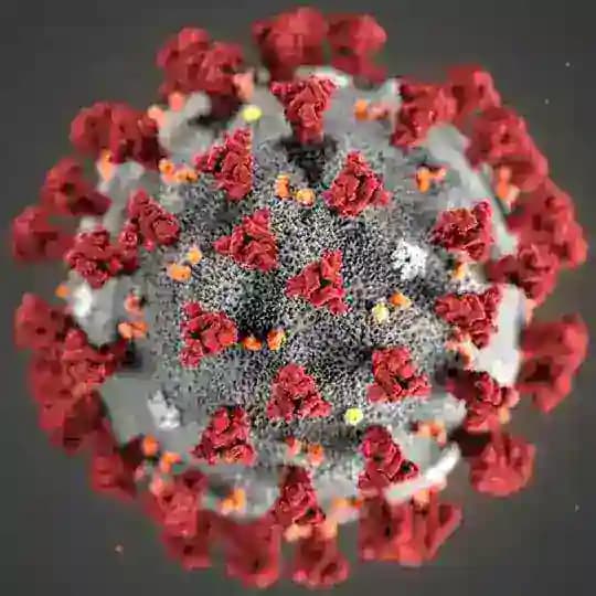 Coronavirus-Ticker SARS-CoV-2, Covid-19 Wuhan aktuell - Pandemie länger überleben durch rechtzeitige Information via Telegram
