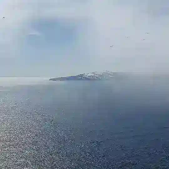 в магадане не любят