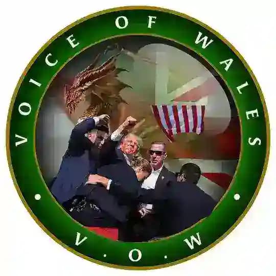 Voice Of Wales Official