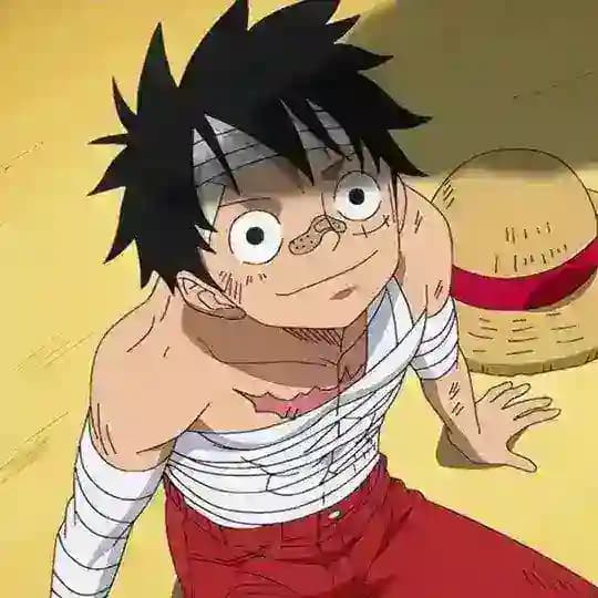 Store Luffy