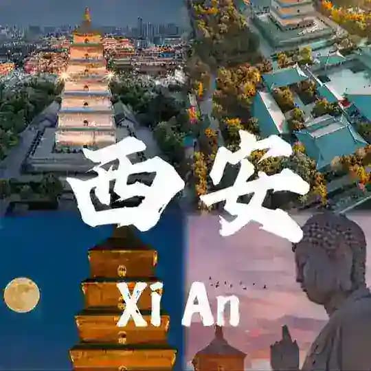 西安优质资源更新