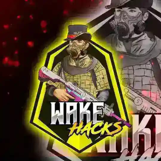 WAKE HACKS PROFFS