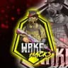 WAKE HACKS PROFFS