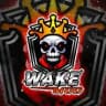 WAKE MOD FEEDBACKS