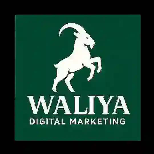 WALIYA PRODUCTION