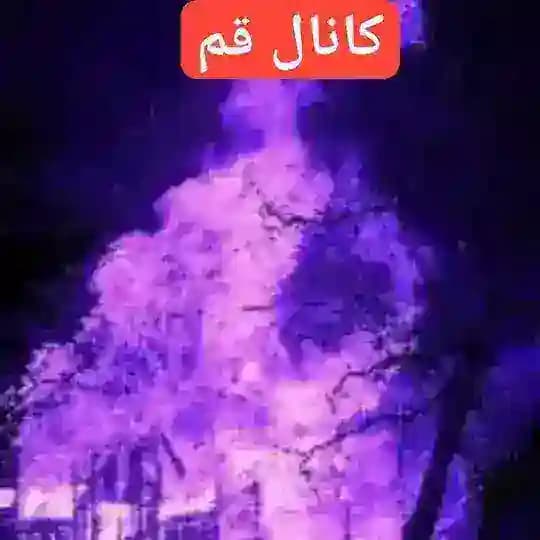 لینکدونی قم