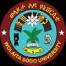 Wolaita Sodo University (WSU)