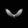 WW Eagle |Chanel
