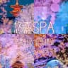 常州✨无锡✨悠嘉SPA