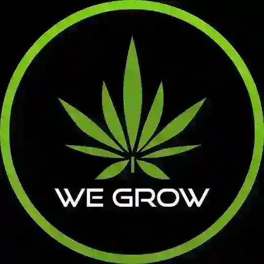 WeGrow ערוץ גיבוי
