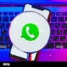 𝐖𝐡𝐚𝐭𝐬𝐀𝐩𝐩 𝐟𝐢𝐥𝐞 𝐰𝐨𝐫𝐤 𝐝𝐚𝐢𝐥𝐲 📱💸💯