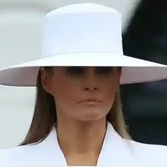 White Hats Profile