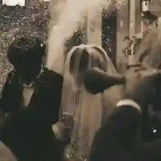 دڵے سپے|DliSpi🤍