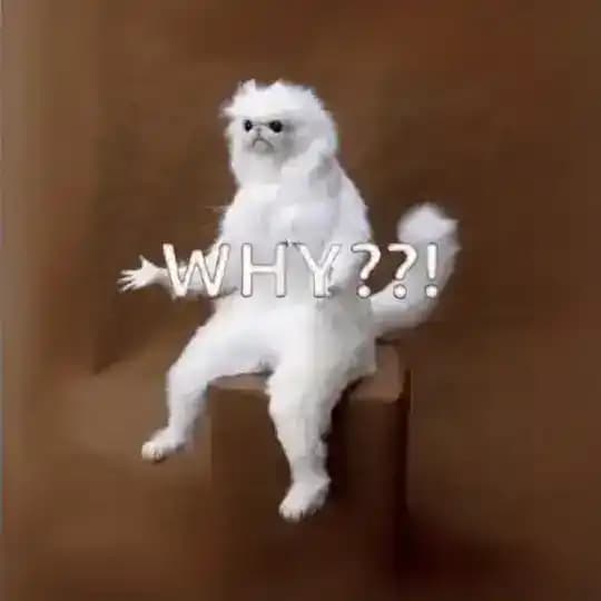 WhyCat | ETH