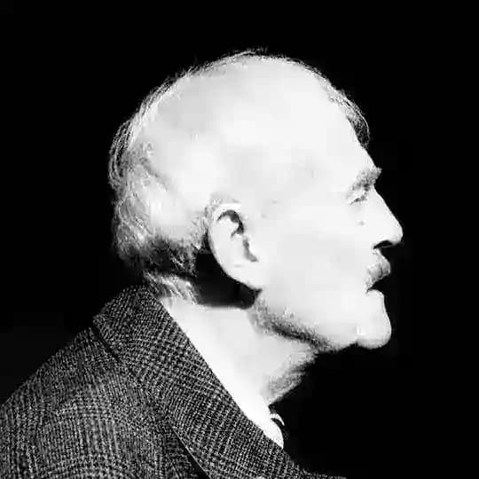 Wild Strawberries