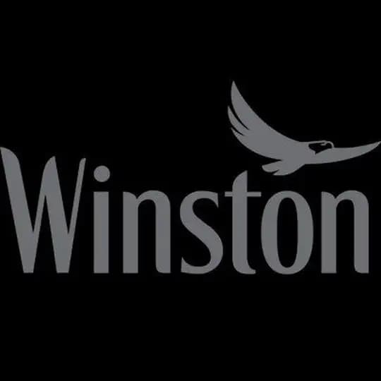 Winston/وینیستون