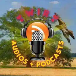 ❣️Wir❣️ Audios & Podcasts Profile
