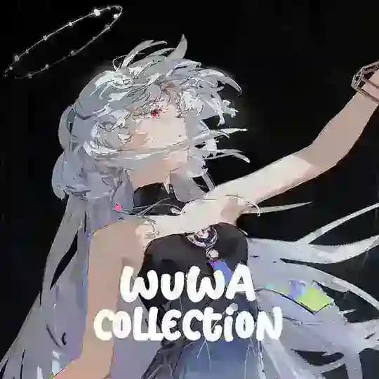 WuWa Collectionˢᶠʷ ⛩️