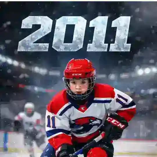Хоккей 2011