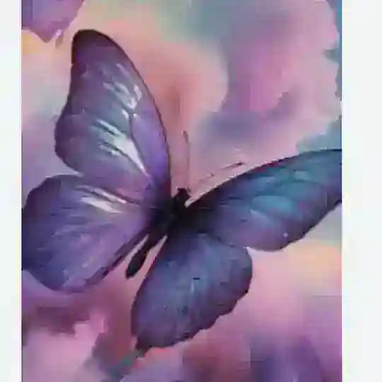 أيڤيا كويــن 𓋜