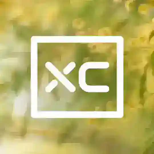ХС печатает...