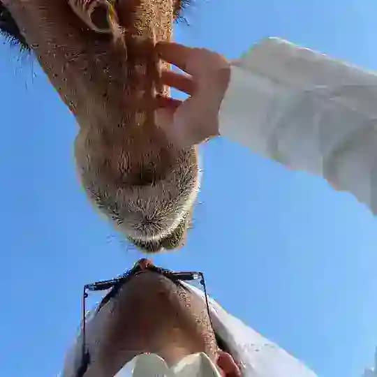 الدوسريّ