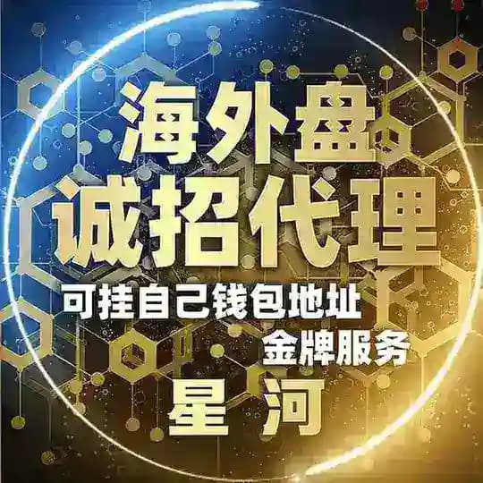 外汇盘 黄金盘 币盘 商城盘 刷单盘 盗u盘 海外盘招商搭建