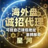 外汇盘 黄金盘 币盘 商城盘 刷单盘 盗u盘 海外盘招商搭建