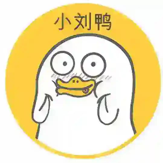 小刘鸭 - BSC链，冲鸭 | 频道