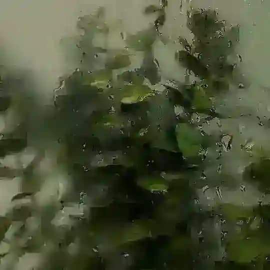 ↝𝑶𝑳𝑰𝑽𝑬
