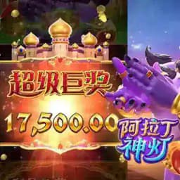 Y3国际百家乐PG电子大本赢U台 Profile