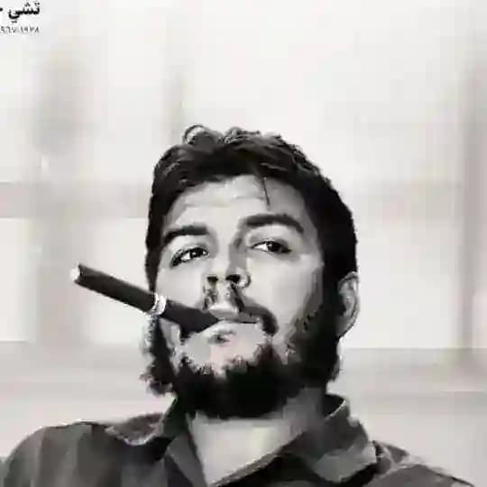 سيرة ذاتية Profile