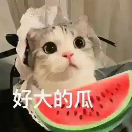 吃瓜 🍉（亚太悬赏）