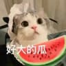 吃瓜 🍉（亚太悬赏）