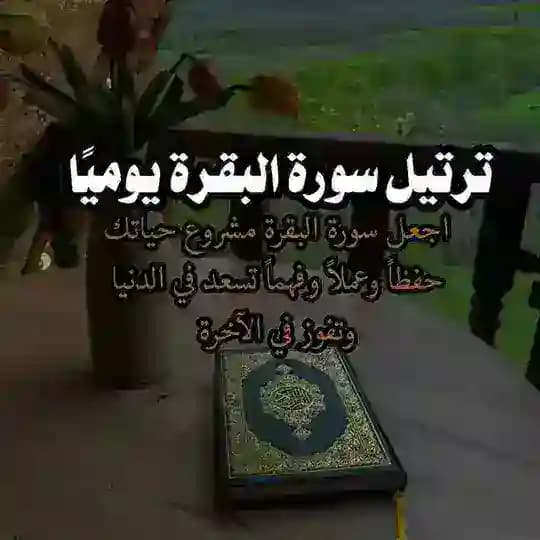 سورة البقرة كل يوم