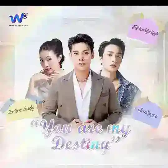 ချစ်ခြင်းရဲ့အကြောင်းပြချက်(You Are My Destiny) Profile