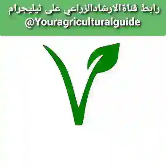 🌱 الارشاد الزراعي🌱
