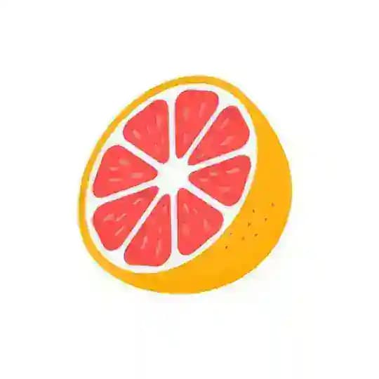 柚子的储物柜 📦 Profile