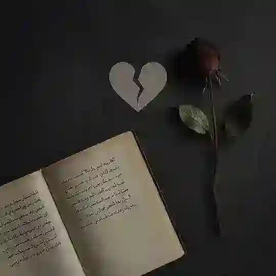 اقتباسات ، عبارات ، كتب ، ستوريات ، حب ، حزن ، جروبات ، عشق ، تأملات ، كتابات ، واتساب ، رومنسي ، روايات ، رثاء ، مجموعات، رسائل