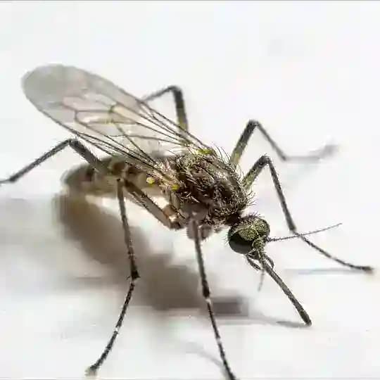 阿猫阿云【德州短信通知频道】