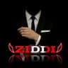 ZIDDI PORTAL
